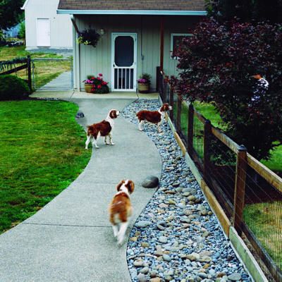 Dog-friendly gardens: Keeping them safe   If you have a Houdini and need to keep your escape artist from tunneling under the fence, you may need to install an underground barrier made of rebar, chicken wire, or poured concrete.    Here, a fence underlined with boards keeps four Welsh springer spaniels from tunneling into the front yard in Battle Ground WA. Dog Friendly Garden, Dog Friendly Backyard, Dog Backyard, Backyard Fence, Cheap Backyard, Dog Yard, Ideas Backyard, Sunrooms, Dog Fence