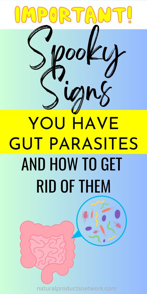 Discover surprising facts about parasite infections! Become an expert on recognizing the spooky signs of a parasite infection and learn how to effectively cleanse parasites! #parasitecleanse Parasite Cleanse Benefits, How To Do A Parasite Cleanse, Essential Oils For Parasites, Best Parasite Cleanse, Parasite Cleanse For Kids, How To Get Rid Of Parasites In Humans, Pinworms Symptoms, Parasite Cleanse Recipes, Diy Parasite Cleanse