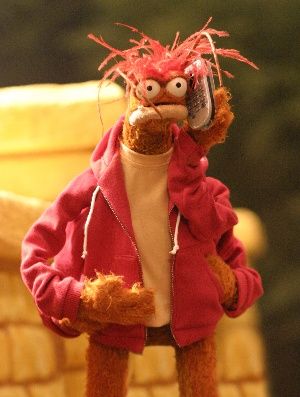 pepe the king prawn aka melissa booth Fraggle Rock, The Muppet Show, Lol Memes, Kermit The Frog, Funny Profile, Jim Henson, Funny Profile Pictures, Funny Reaction Pictures, Really Funny Pictures