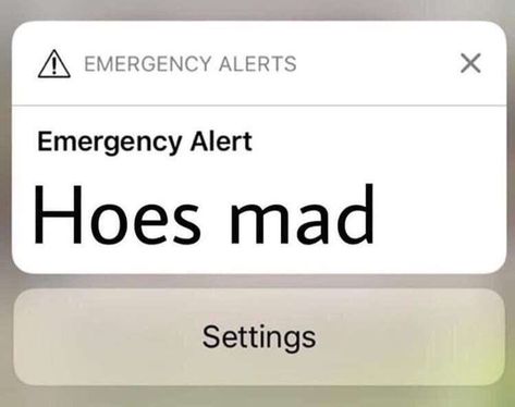 emergency alert !!!! hoes mad 🤪🥵 Mad Meme, Emergency Alert, Snapchat Funny, Good Quotes For Instagram, Mood Humor, Funny Profile Pictures, Funny Reaction Pictures, Funny Relatable Quotes, Elder Scrolls