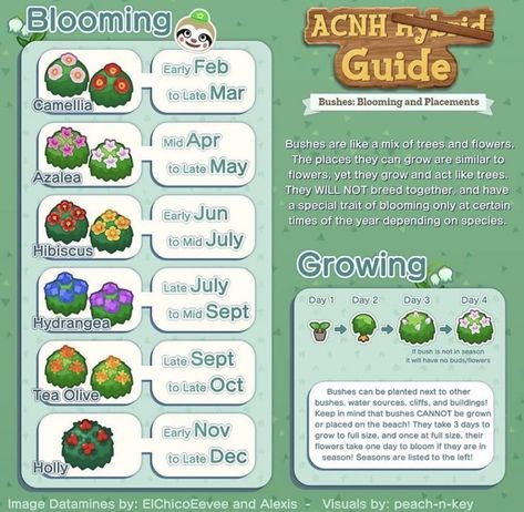 Image displays a list of bushes and their seasons. Guide to Animal Crossing Gardens + Florals. Gamer Stuff, Azalea Flower, Ac New Leaf, Animal Crossing Memes, Animal Crossing Guide, Animal Crossing Qr Codes Clothes, Qr Codes Animal Crossing, Acnh Ideas, Animal Crossing Villagers