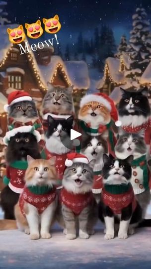 55K reactions · 38K shares | The cats are singing a Christmas song 😻😹

#cat #catlife #catlovers #funnyreels #goodvibes #singing #Christmas #fypシ゚ #fyp #trend #virals #viralvideos #trending #viewers #followers #highlights #friends #explore #everyone #reels #trendingnow #trendingreels | Helen Tan Cat Happy New Year, Merry Christmas Cat, Merry Christmas Dog, Dancing Cat, Married Christmas, Christmas Gif, Silent Night, Funny Cat Videos, Christmas Song