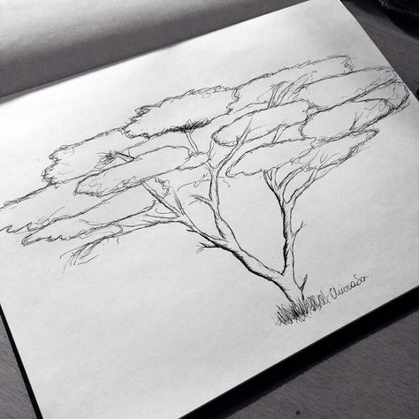 Acacia Tree Africa Landscape Drawing, African Trees Drawing, Acacia Tree Silhouette, African Tree Drawing, Acacia Tree Drawing, African Tree Tattoo, Acacia Tree Tattoo, Safari Sketch, Savanna Tree