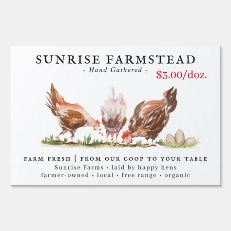 Farm Fresh Eggs For Sale Business Sign  Zazzle Farm Fresh Eggs For Sale, Fresh Eggs For Sale, Homestead Products, Sunrise Farm, Eggs For Sale, Brown Eggs, Farm Fresh Eggs, Chicken Coops, Fresh Milk