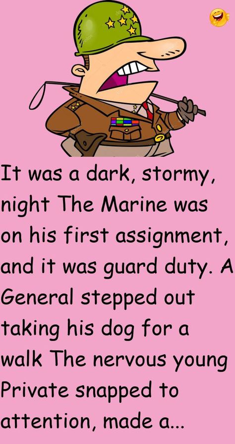 It was a dark, stormy, nightThe Marine was on his first assignment, and it was guard duty.A General stepped out taking his dog for a walk #funny, #joke, #humor Clean Funny Jokes, Clean Jokes, Passive Aggressive, Joke Of The Day, Amazing Life Hacks, Clean Humor, Irish Men, Out Loud, A Walk