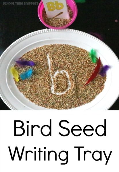 Bird Seed Sensory Writing Tray for Preschoolers! from School Time Snippets. Pinned by SOS Inc. Resources. Follow all our boards at pinterest.com/sostherapy/ for therapy resources. Bird Letter Activity, Bird Nest Activities Preschool, Birds Lesson Plans Preschool, Bird Activity Preschool, Spring Occupational Therapy Activities, Spring Animals Preschool, Bird Preschool Activities, Birds Activities Preschool, Bird Activities Preschool