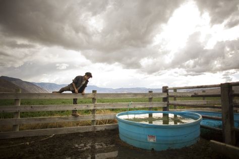 Nick Marino feeds and waters the livestock at Deep Springs College, an exclusive, all-male institution in a remote valley in California. Deep Springs College, Secrets Of Sulfur Springs, Cheap College Moisture-wicking T-shirt, Liberal Arts College, Student Body, Liberal Arts, Cattle Ranching, America Today, Colleges And Universities