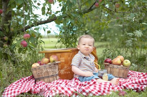 Aller cueillir des pommes. C'est fait ! Apple Orchard Pictures, Fall Baby Photos, Picnic Photo Shoot, Old Macdonald Had A Farm, Mini Photo Sessions, Old Macdonald, Foto Newborn, Fall Picnic, Fall Mini Sessions