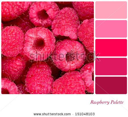 Copper Colour Scheme, 40th Anniversary Ideas, Berry Dress, Soft Summer Colors, Colour Swatches, Wedding Color Combos, Fresh Raspberries, Color Schemes Colour Palettes, Summer Color Palette