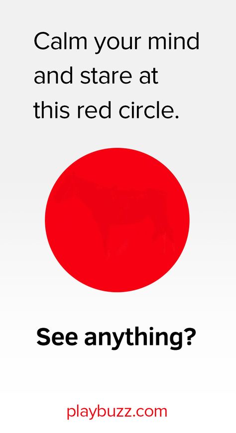 This one is stumping the internet - What's inside the red circle? Brain Illusions, Eye Tests, Cow Fish, Funny Illusions, Eye Tricks, Mind Puzzles, Cool Illusions, Funny Mind Tricks, Cool Optical Illusions