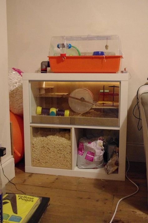 I'm not positive, but I think I set up my hedgehog's cage appropriately... - Album on Imgur Hamster Terrarium, Diy Hamster Cage, Hamster Diy Cage, Cool Hamster Cages, Hedgehog Cage, Gerbil Cages, Mouse Cage, Cage Hamster, Hamster Diy