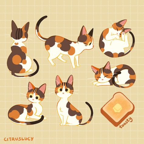 Kitten Drawing, Cat Pose, Cat Character, Cats Illustration, Calico Cat, 영감을 주는 캐릭터, Cat Illustration, Cat Drawing, 귀여운 동물