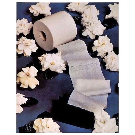 #photography Paul Outerbridge, Jr. (August 15, 1896 – October 17, 1958)  #putitonatshirt #whatmart #goodshirts #paulouterbridge Still Life Arrangements, Paul Outerbridge, Magnolia Blossom, Pink Carnations, Blue Orchids, Architectural Digest, Toilet Paper Holder, Toilet Paper, Still Life