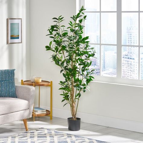 Modest Looks, Laurel Tree, Tree In Pot, Faux Olive Tree, Plants Outdoor, Ficus Tree, Faux Leaf, Eucalyptus Tree, Faux Tree