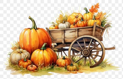 Pumpkin Field, Pumpkin Vegetable, Thanksgiving Background, Pumpkin Clipart, Bountiful Harvest, Create Invitations, Autumn Scenery, Planting Vegetables, Plant Food