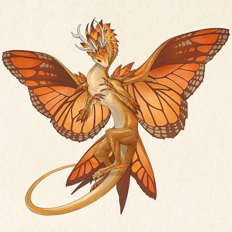 Dragon Art Concept, Butterfly Dragon Art, Faerie Dragon Dnd, Fantasy Dragon Concept Art, Pet Dragon Art, Sandara Tang, Dragon Design Concept, Moth Dragon, Monarch Fairy