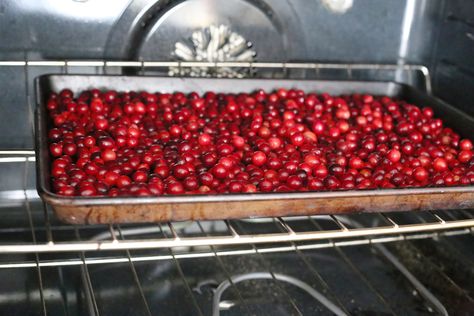 How to Dry Fresh Cranberries | LIVESTRONG.COM How To Dry Fresh Cranberries, How To Dry Cranberries For Decoration, Drying Cranberries In Oven, How To Use Fresh Cranberries, How To Dehydrate Cranberries, Fresh Cranberries What To Do With, How To Dry Cranberries In Oven, Preserving Cranberries, How To Dry Cranberries