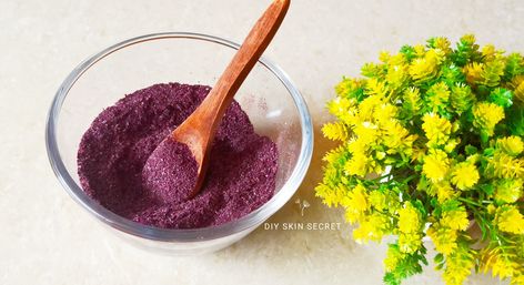 Know how to make rose petal powder at home. How To Make Rose Powder At Home, Rose Petal Powder, Rose Skincare, How To Make Rose, Homemade Items, Diy Rose, Diy Roses, Pigment Powder, Skin Secrets