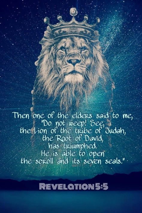 Rastafari Quotes, Sun God Nika, Quote Videos, Joy Boy, Lion Of Judah Jesus, Revelation 5, Lion Quotes, Praise Be, Bible Quotes Images