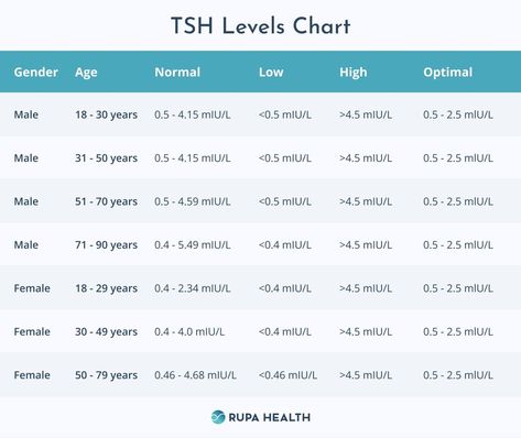 A Functional Medicine Approach to Thyroid Hormone Labs Optimal Thyroid Levels, Thyroid Levels, Thyroid Test, Fatigue Symptoms, Pituitary Gland, Nutrient Deficiency, Skeletal Muscle, Thyroid Hormone, Hormone Levels