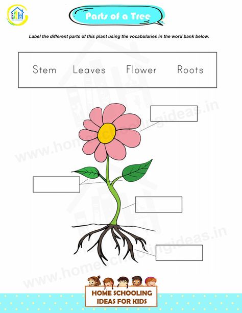 Ukg Worksheet, Children Worksheets, Evs Worksheet, Plants Worksheets, Letter Worksheets For Preschool, Cvc Words Kindergarten, Alphabet Worksheets Kindergarten, Kids Worksheets Preschool, Kindergarden Activities