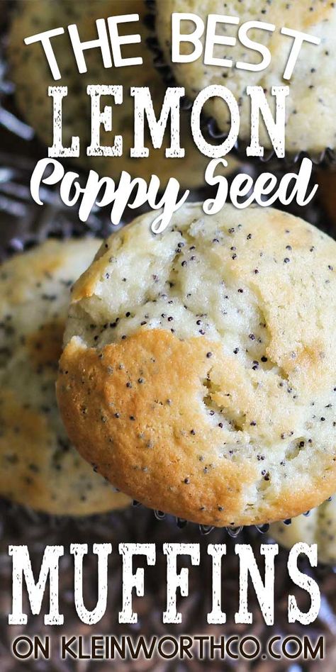 Muffins Lemon, Poppy Seed Muffin Recipe, Lemon Poppy Seed Muffins Recipe, Quick Easy Breakfast, Lemon Poppy Seed Muffins, Breakfast Recipes Easy Quick, Muffins Easy, Muffins Healthy, Seed Muffins