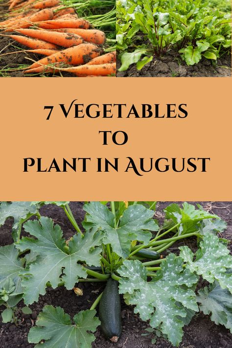 7 Veggies to Plant in August for a Last-Minute Harvest Fall Veggies To Plant, August Planting, Vegtable Garden, Pruning Plants, August Garden, Fall Veggies, Growing Corn, Fall Planting, Succession Planting