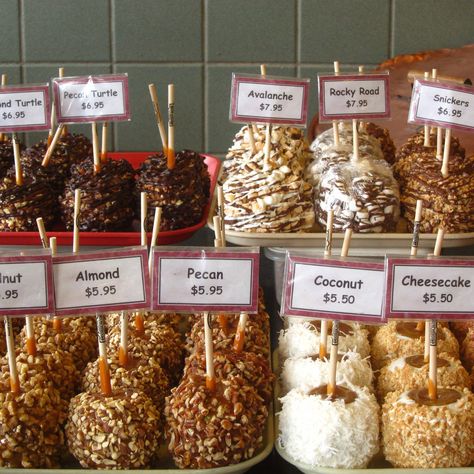 Smores Candy Apple, Dipped Apples Gourmet, Gourmet Apples Ideas, Gourmet Caramel Apples Ideas, Candy Apples Ideas, Caramel Marshmallows, Dipped Apples, Halloween Candy Apples, Gourmet Candy Apples