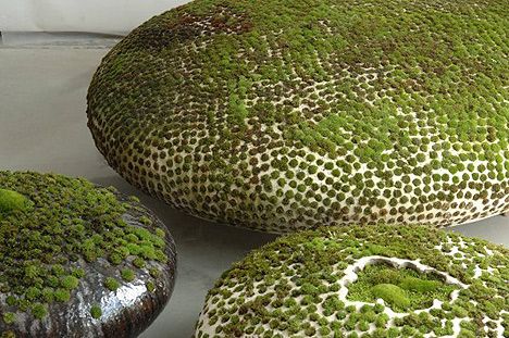 mineo mizuno ceramic art. Taman Air, Moss Garden, Moss Art, Dark Flowers, Sculpture Installation, Land Art, Ceramic Sculpture, Horticulture, Green Thumb