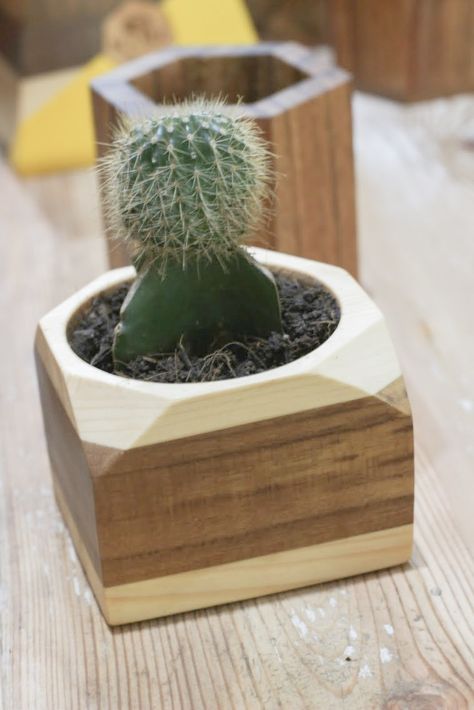 Desktop Planter, Diy Engraving, Wooden Plant Pots, Woodworking Business Ideas, Succulent Planter Diy, Wood Planer, Carpentry Projects, Wooden Pallet Projects, Wooden Vase