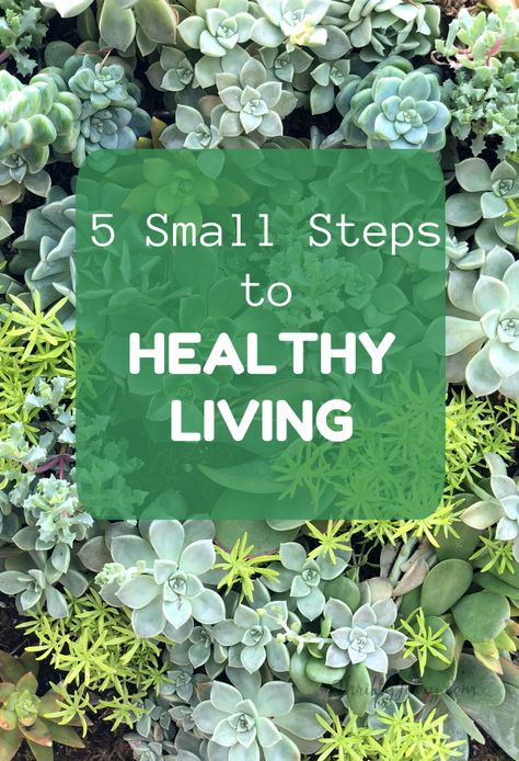 5 Small Steps to Healthy Living - Most of us WANT to be healthy and live a healthy lifestyle, but we find ourselves battling the problem of busy lives and the constant shortage of time.     The good news is that when it comes to health - small steps can add up to big benefits.Check out these easy tips that can lead you to better health.  #ad #healthylifestyle #healthyliving #wellness Small Steps Quotes, Steps Quotes, Live A Healthy Lifestyle, Healthy Life Hacks, Health Articles Wellness, Wellness Activities, Health And Wellness Quotes, Work Diy, Wellness Inspiration