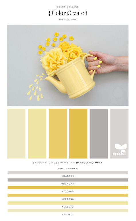 Classic Yellow & Gray pallet Gray Color Palette, Yellow Palette, Seeds Color, Grey Palette, Yellow Colour Scheme, Color Palette Yellow, Yellow Room, Color Schemes Colour Palettes, Grey Color Palette