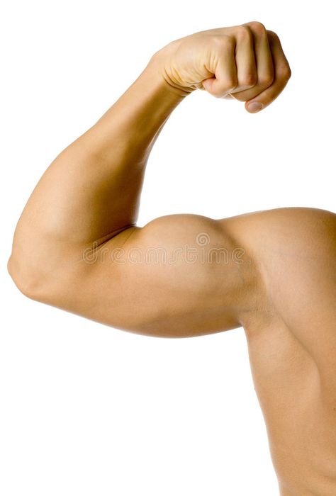 Flexing Muscles Pose Reference, Elbow Anatomy, Arm Anatomy, Anatomy Practice, How To Get Bigger, Coke Zero, Arm Muscles, Anatomy Study, Male Hands