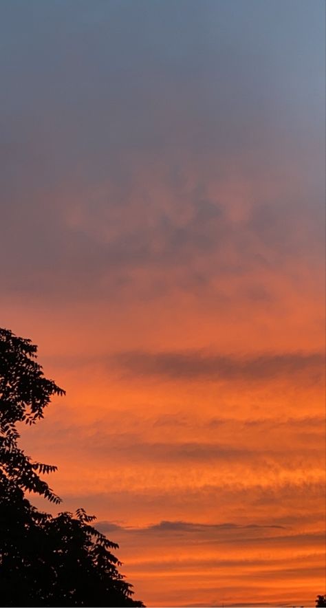 Clear Sky Sunset, Orange Sky Wallpaper, Orange Sunset Wallpaper, Orange Sky Aesthetic, Orange Sunset Aesthetic, Sunset Pic, Sky Images, Sunset Beautiful, Sky Photography Nature