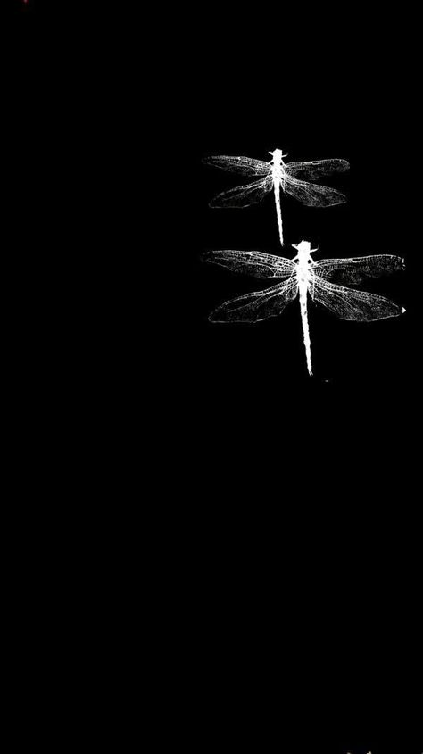 Dragonfly Wallpaper, Art Words, Black Fairy, Midnight Garden, Dragonfly Art, Iphone Wallpaper Pattern, Dark Light, Ghost In The Shell, Soul Art