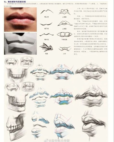 Art tutoraial. This part: portrait #arttutorial #eyedrawing #artteachersofinstagram #artcollector #artcollective #structural… | Instagram Mouth Structure, Head Anatomy, Drawing Study, Academic Drawing, Portrait Tutorial, Structural Drawing, Face Anatomy, Life Drawing Reference, 2023 Art