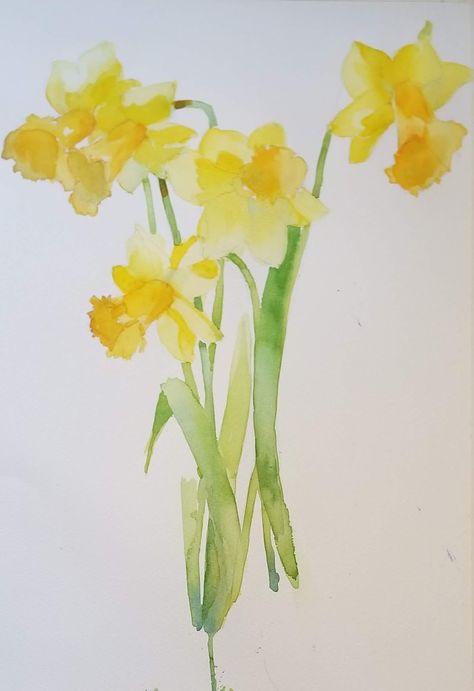 Watercolor Daffodils, Daffodil Day, Daffodil Tattoo, Flowers Paintings, Paintings Watercolor, Yellow Daffodils, Watercolour Inspiration, Loose Watercolor, Watercolor Flower Art