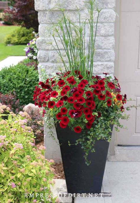 Give the front of your house a boost with these planter ideas. With photos from home gardens, there are lots of inexpensive ways to add colorful container plants including window boxes. Front Porch Flower Pots, Front Porch Flowers, Porch Plants, Patio Flowers, Porch Flowers, Front Gardens, Container Garden Design, Porch Planters, Potted Plants Outdoor