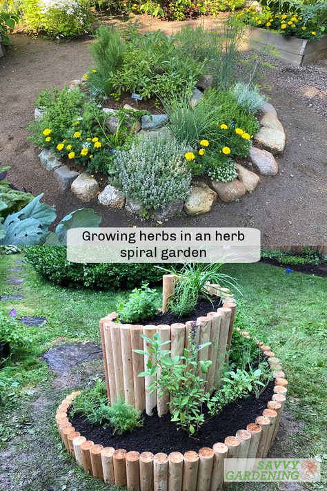 Herb Spiral Garden, Backyard Herb Garden, Easy Herbs To Grow, Herb Spiral, Spiral Garden, Witchy Garden, Outdoor Herb Garden, Tattoo Plant, Medicinal Herbs Garden