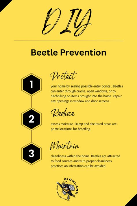 Beetles can damage wood, fabrics, carpets, and stored food items, leading to costly repairs or replacements. Signs of a beetle infestation include visible beetles, larvae, or eggs, damaged materials (wood, fabric, or food), and fecal pellets. Follow these steps to prevent a beetle infestation in your home! Beetle Larvae, Bug Infestation, Bed Bug, Pest Control Services, Bed Bugs, Protecting Your Home, Diy Bed, Beetles, Pest Control