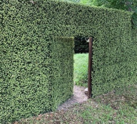 Secret Garden Ideas Hiding Places, Backyard Secret Garden, Hidden Door Ideas, Secret Rooms In Houses, Underground Home, Secret Garden Ideas, Doomsday Bunker, Underground Bunkers, Garden Ideas Backyard