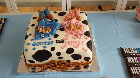 My Western Gender Reveal Cake! Western Gender Reveal Ideas, Western Gender Reveal, Gender Reveal Food Ideas, Country Gender Reveal, Gender Cake, Cake Gender Reveal, Cowboy Baby Shower Theme, Gender Reveal Food, Simple Gender Reveal