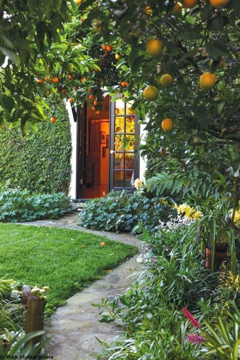 craving fruit trees - Crazy Wonderful Tree Garden Design, Fruit Tree Garden, English Garden Design, Tree Garden, Tree Landscape, Longwood Gardens, Nature's Bounty, Secret Gardens, Fruit Tree