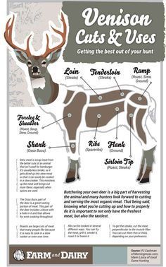 Deer Butchering, Deer Processing, Deer Recipes, Deer Hunting Tips, Deer Meat Recipes, Deer Meat, Italian Meats, Wild Game Recipes, Venison Recipes