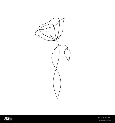 Simple poppy flower art. One continuous line art decorative poppy draw. Editable stroke flower floral element. Isolated vector illustration Stock Vector Image & Art - Alamy Line Work Poppy Tattoo, One Line Poppy Drawing, One Line Poppy, Poppy Fine Line Drawing, Single Line Drawing Simple, Poppy Flower Drawing Simple, Poppy Line Art, Flower One Line Drawing, Poppy Line Drawing