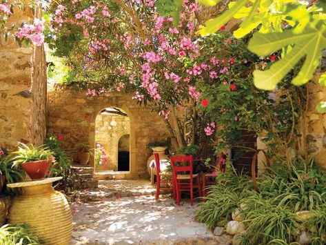 Vines Ideas, Tuscan Garden Design, Italian Courtyard, Mediterranean Courtyard, Garden Design Pictures, Mediterranean Garden Design, Courtyard Ideas, Tuscan Garden, Spanish Garden