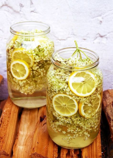 Homemade Elderflower Cordial Recipe Elderflower Recipes, Elderflower Syrup, Cordial Recipe, Large Glass Jars, Elderflower Cordial, Austrian Recipes, Homemade Recipe, Syrup Recipe, Homemade Ice