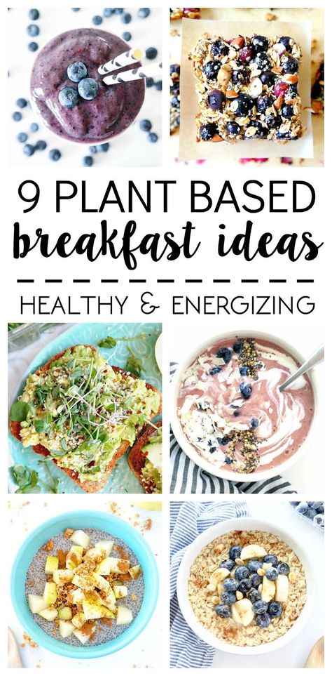 What I Ate: 9 Plant Based Breakfast Ideas. All Vegan, Healthy & Energizing. Blueberry Breakfast Bars, Cotton Candy Smoothie Bowls, Overnight Oats and more. Cotton Candy Smoothie, Plant Based Breakfast Ideas, Blueberry Breakfast Bars, Breakfast Vegetarian, Breakfast Ideas Healthy, Plant Based Diet Meals, Plant Based Diet Recipes, Plant Based Whole Foods, Blueberry Breakfast