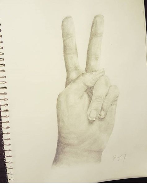 hand • peace • sign • shading • drawing | creds to haley.art on Insta ♡ Peace Sign Drawing, Sign Drawing, Shading Drawing, Hand Sketch, Peace Sign, Peace Gesture, Signs, Drawings, Photography