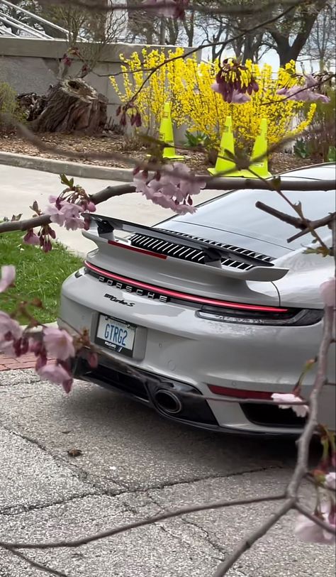 Sakura In Japan, Porsche Turbo S, Rich Cars, Porsche Gt, Last Ride, Cool Car Pictures, Turbo S, Cool Sports Cars, Gt3 Rs